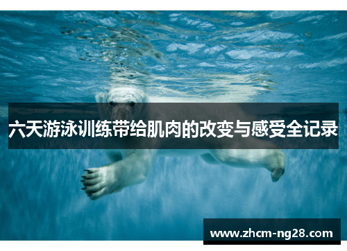 六天游泳训练带给肌肉的改变与感受全记录