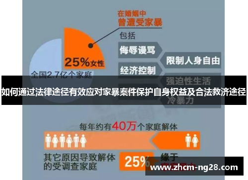 如何通过法律途径有效应对家暴案件保护自身权益及合法救济途径