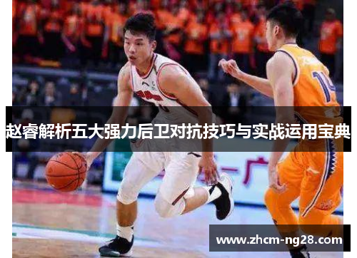赵睿解析五大强力后卫对抗技巧与实战运用宝典
