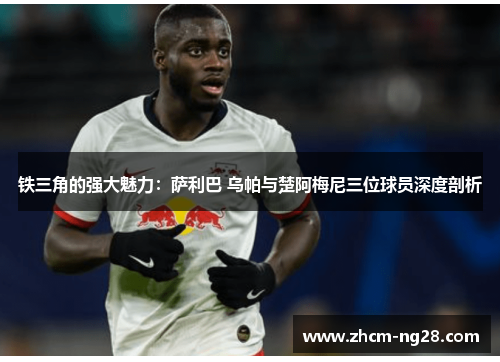 铁三角的强大魅力：萨利巴 乌帕与楚阿梅尼三位球员深度剖析